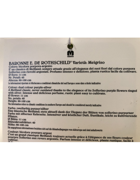 ROSA MEILLAND BARONE E. DE ROTHSCHILD