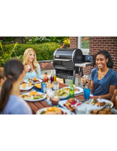 WEBER SMOKEFIRE EX4 GBS + OMAGGIO