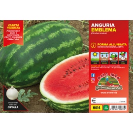 ANGURIA CRIMSON OBLA H010