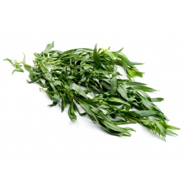 BORRAGINE