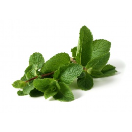 MENTA COCKTAIL