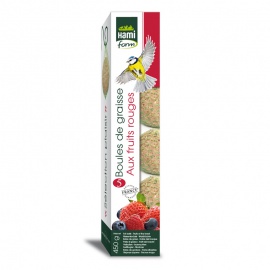 HAMIFORM PALLA DI GRASSO CON FRUTTI ROSSI