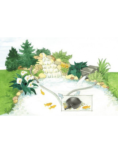 PONTEC PONDOMAX ECO 5000