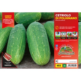 CETRIOLO TORTARELLO ABRUZZESE CHIARO H114