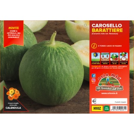 CETRIOLO CAROSELLO PUGLIESE H113