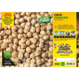 PISELLO MEZZA RAMA H553