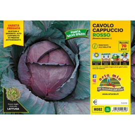 CAVOLO CAPPUCCIO TONDO PRECOCE VARIETA' CILEMA 