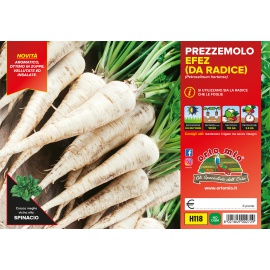 PREZZEMOLO RICCIO FRANCESE H116