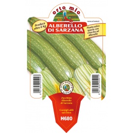 ZUCCA MOSCATA DI PROVENZA