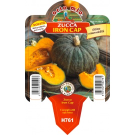 ZUCCA IRON CAP H761