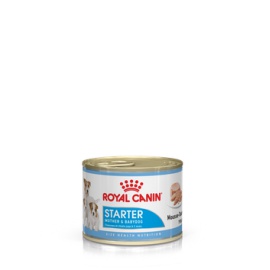 ROYAL CANIN STERTER MOUSSE 195 GR