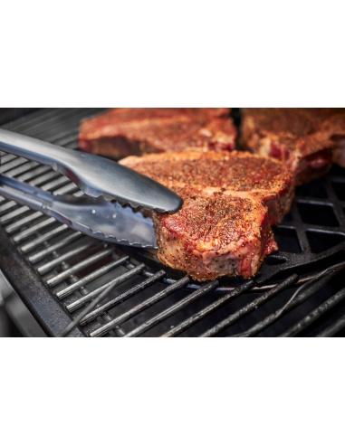 WEBER SMOKEFIRE EX6 GBS