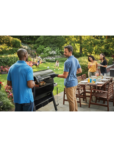 WEBER SMOKEFIRE EX6 GBS