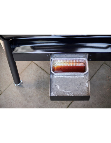 WEBER SMOKEFIRE EX6 GBS