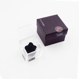 ARS NOVA FLOWERCUBE 6x6 CM COLORE NERO