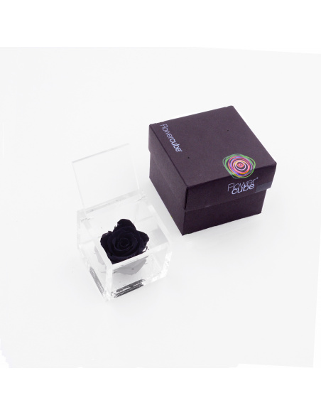 ARS NOVA FLOWERCUBE 6x6 CM COLORE NERO