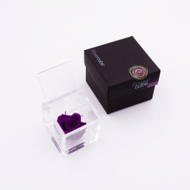 ARS NOVA FLOWERCUBE 6x6 CM COLORE VIOLA