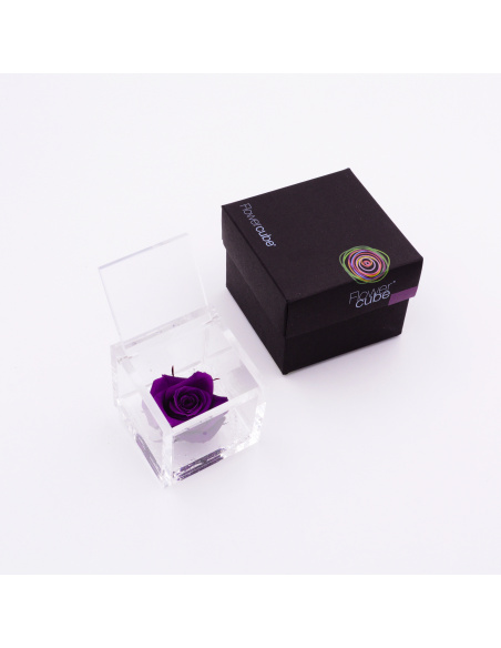 ARS NOVA FLOWERCUBE 6x6 CM COLORE VIOLA 