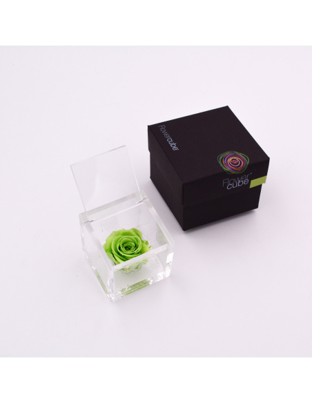 ARS NOVA FLOWERCUBE 6x6 CM COLORE VERDE