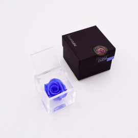 ARS NOVA FLOWERCUBE 6x6 CM COLORE AZZURRO