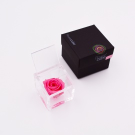 ARS NOVA FLOWERCUBE 6x6 CM COLORE ROSA