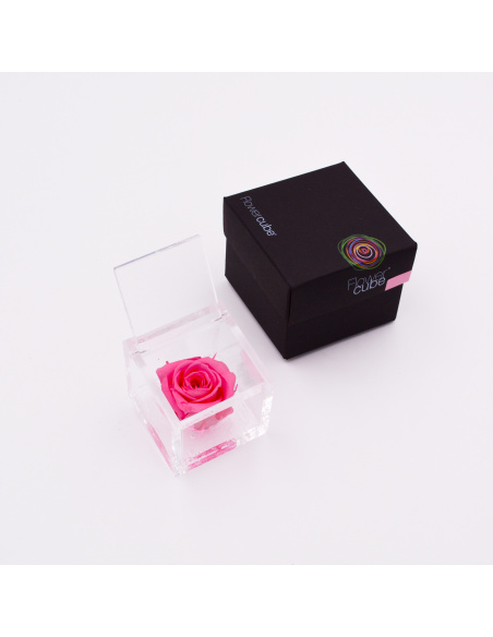 ARS NOVA FLOWERCUBE 6x6 CM COLORE ROSA