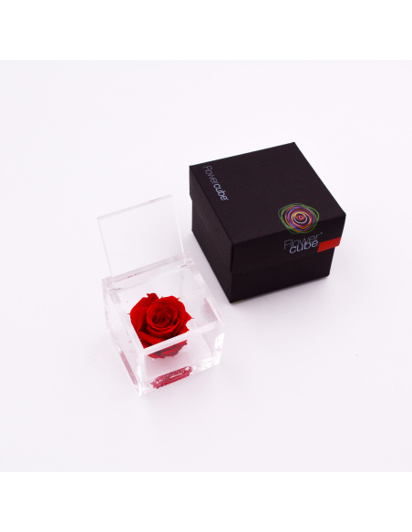 ARS NOVA FLOWERCUBE 6x6 CM COLORE ROSSO 