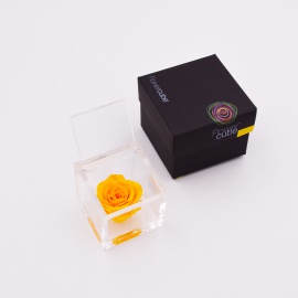 ARS NOVA FLOWERCUBE 8x8 CM COLORE GIALLO