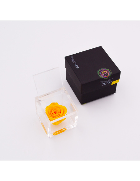 ARS NOVA FLOWERCUBE 8x8 CM COLORE GIALLO 