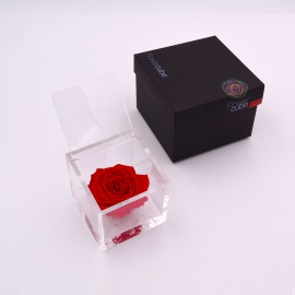 ARS NOVA FLOWERCUBE 8x8 CM COLORE ROSSO