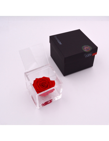 ARS NOVA FLOWERCUBE 8x8 CM COLORE ROSSO
