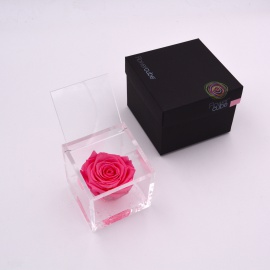 ARS NOVA FLOWERCUBE 8x8 CM COLORE ROSA