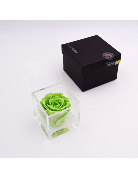 ARS NOVA FLOWERCUBE 8x8 CM COLORE VERDE