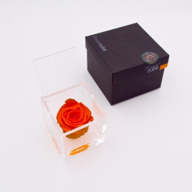 ARS NOVA FLOWERCUBE 8x8 CM COLORE ARANCIONE
