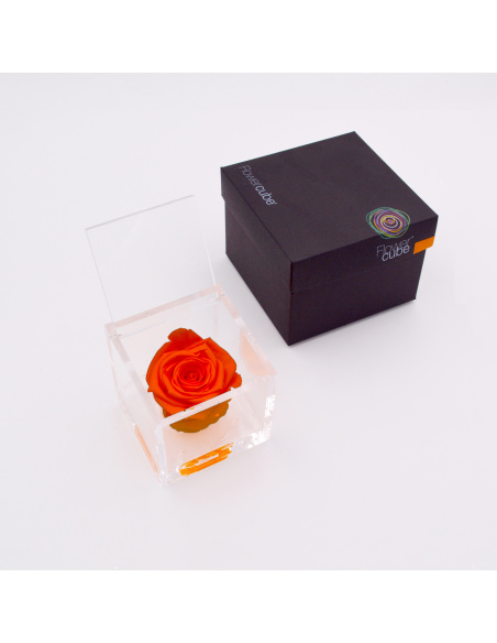 ARS NOVA FLOWERCUBE 8x8 CM COLORE ARANCIONE 