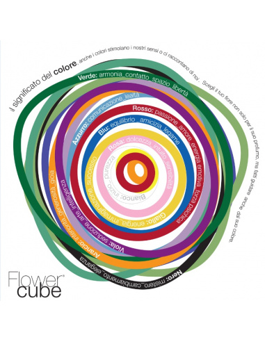 ARS NOVA FLOWERCUBE 8x8 CM COLORE...