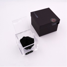 ARS NOVA FLOWERCUBE 8x8 CM COLORE NERO
