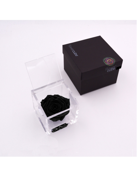ARS NOVA FLOWERCUBE 8x8 CM COLORE NERO 