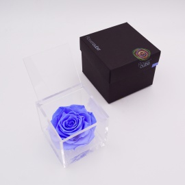 ARS NOVA FLOWERCUBE 12x12 CM COLORE AZZURRO