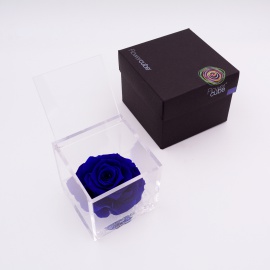 ARS NOVA FLOWERCUBE 12x12 CM COLORE BLU