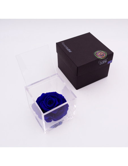 ARS NOVA FLOWERCUBE 12x12 CM COLORE BLU 
