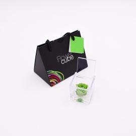 ARS NOVA MINI FLOWERCUBE 4,5x4,5 CM COLORE VERDE