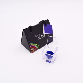 ARS NOVA MINI FLOWERCUBE 4,5x4,5 CM COLORE BLU