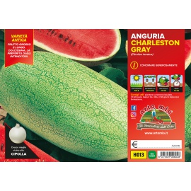 ANGURIA LUNGA EMBLEMA H014