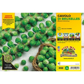 CAVOLO BROCCOLO CALABRESE PRECOCE VARIETA' HERAKLION 