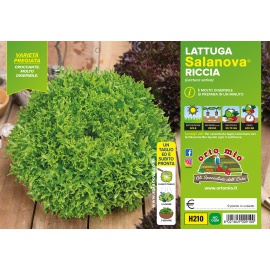 LATTUGA SALANOVA MIX A FOGLIA LISCIA H206