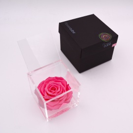 ARS NOVA FLOWERCUBE 10x10 CM COLORE ROSA