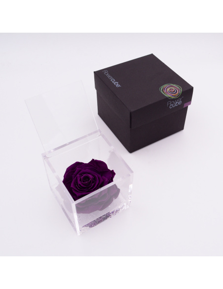 ARS NOVA FLOWERCUBE 10x10 CM COLORE VIOLA ARS NOVA FLOWERCUBE 10x10 CM COLORE VIOLA