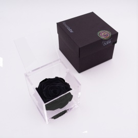 ARS NOVA FLOWERCUBE 10x10 CM COLORE NERO