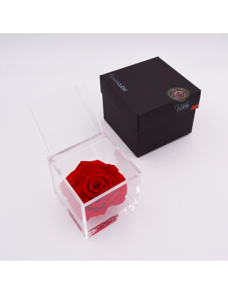 ARS NOVA FLOWERCUBE 10x10 CM COLORE ROSSO  ARS NOVA FLOWERCUBE 10x10 CM COLORE ROSSO